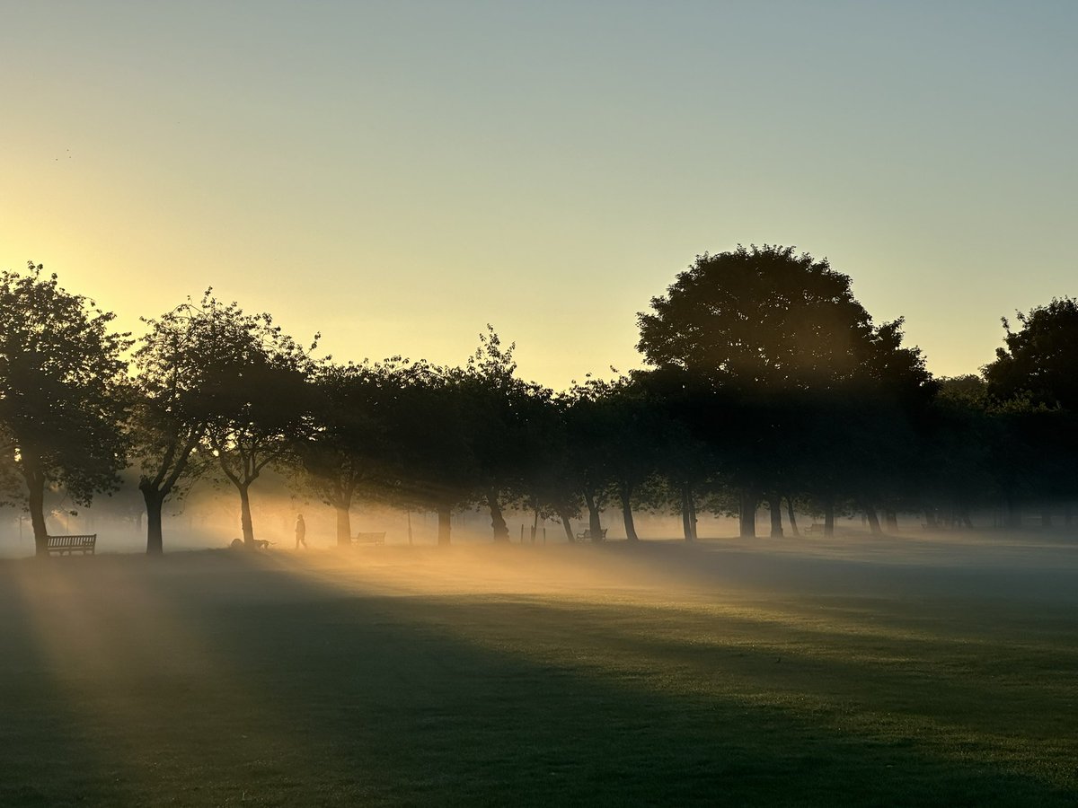 Misty morning on the Meadows