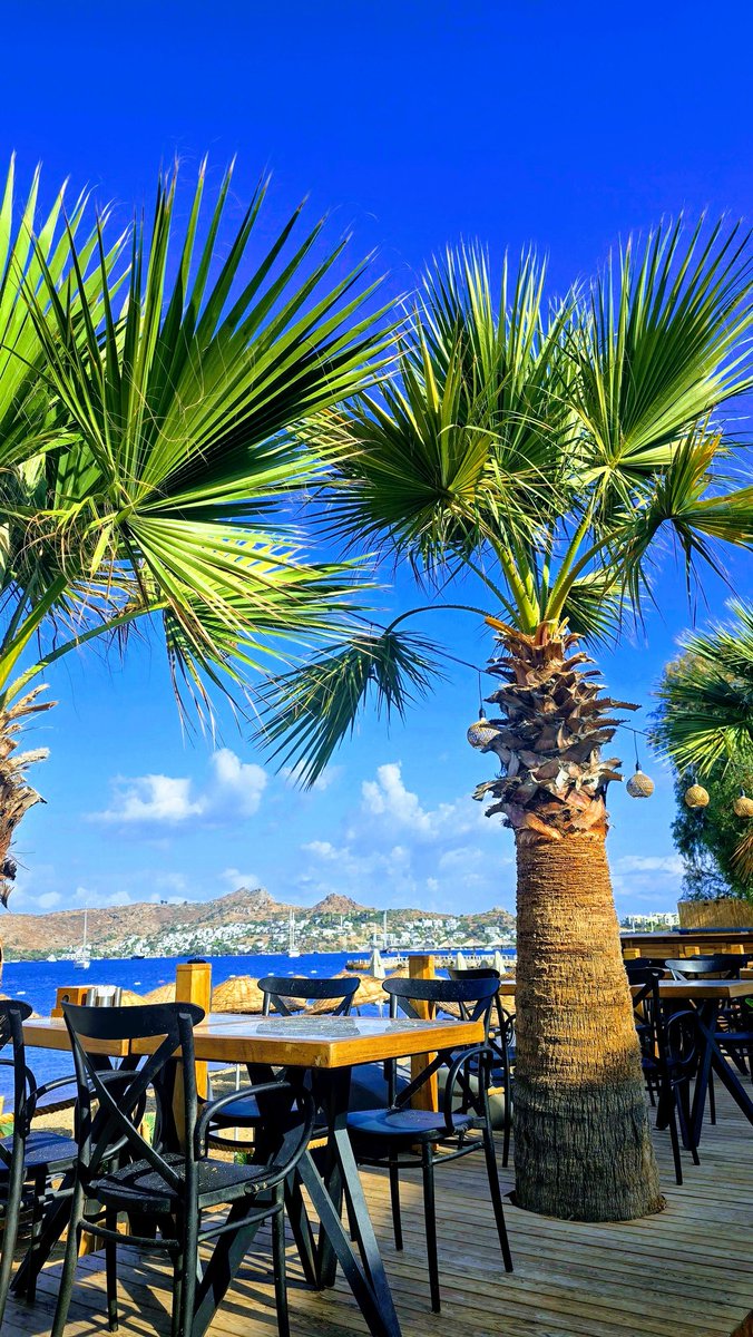 Good morning from Yalıkavak 🇹🇷