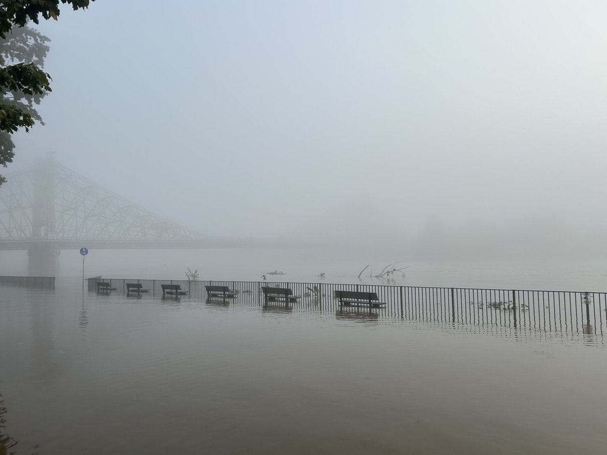 Mandy Weigel tweet media