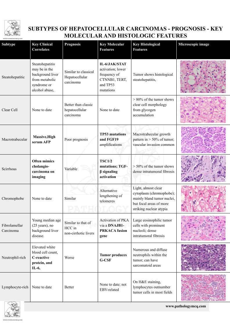 🧬 Understanding the Subtypes of Hepatocellular Carcinoma (HCC): Prognosis, Molecular, and Histologic Features - BASED ON WHO -2019 🧬