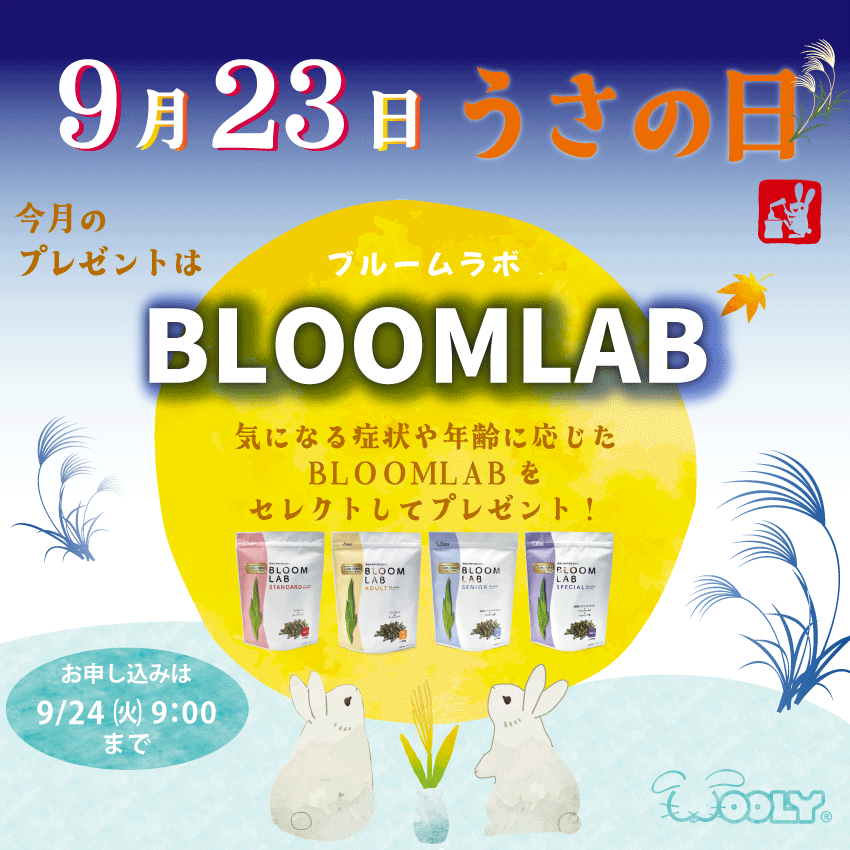 WOOLY（ウーリー） ㅣ うさぎの食彩工房 tweet media