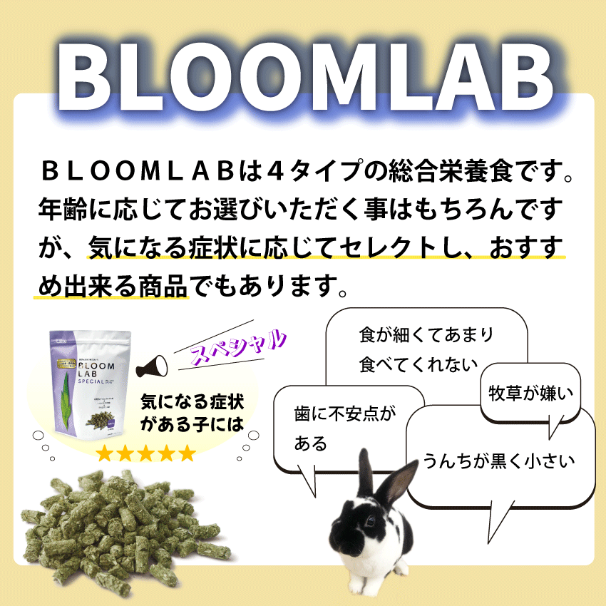 WOOLY（ウーリー） ㅣ うさぎの食彩工房 tweet media
