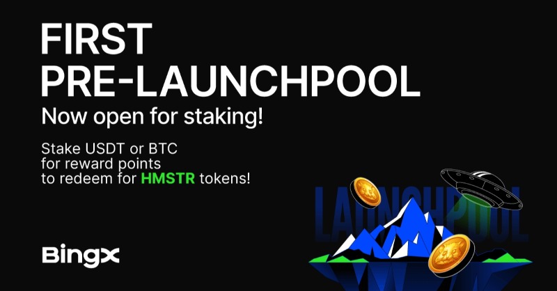 BingXOfficial's tweet photo. 🚀 #BingX First Pre-launchpool Is Live! Staking Begins!!! 
⛏️ Stake $USDT or $BTC for reward points to redeem for $HMSTR!

⏰ Sept 18, 7:00 AM - Sept 23, 7:00 AM (UTC)
🔗 Join Now: https://t.co/JJqp8kooGP

💰 5 winners! 20 USDT #Giveaway each!
✅ To enter: RT and tag 3 friends.