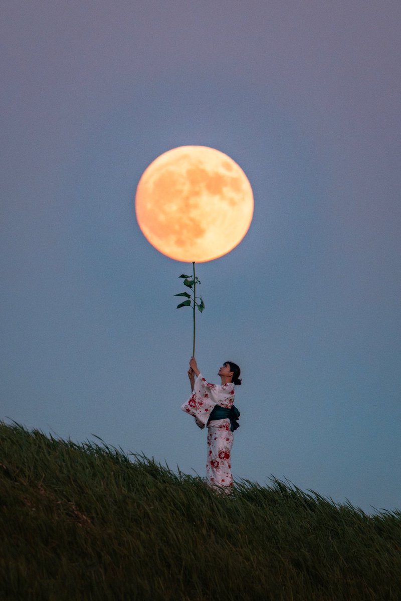 十五夜  中秋の名月
月の花。