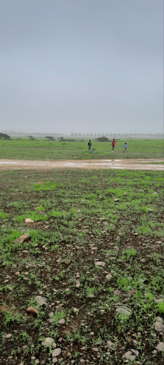 *دائمًا نقول عمّا مضى بأنه... زمن جميل ... ولكننا وقتها لم نكن نشعر بجماله، فقط شعرنا بجماله بعد رحيله وأصبحنا نردّدها بابتسامةٍ باهتة.. "كان زمنًا جميلاً." وليتنا ندرك أن أيامنا هذه أيضا ستكون غداً .. "ماضٍ جميل". مشكلتنا أننا نستشعر جمال الأشياء فقط بعد فقدها.