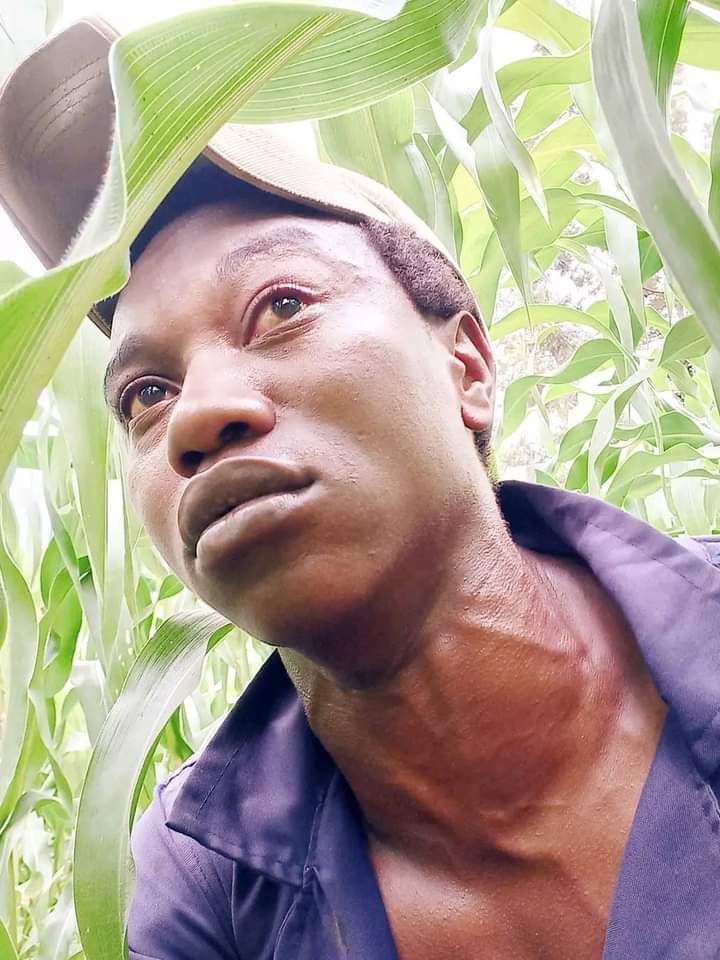 "Ni mimi nilisema Kenya ni home wa kwanza"