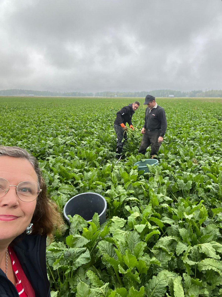 Minna-Mari Purtsi-Toimi ~ Minnis tweet media