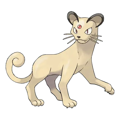 TRA_raidarmy's tweet photo. 3. 700 Stardust
Relatif jarang tapi masih bisa ditemukan
Parasect
Persian
Breloom
Shiinotic
#PokemonGo #PokemonGoID https://t.co/jUddUXH4Gv