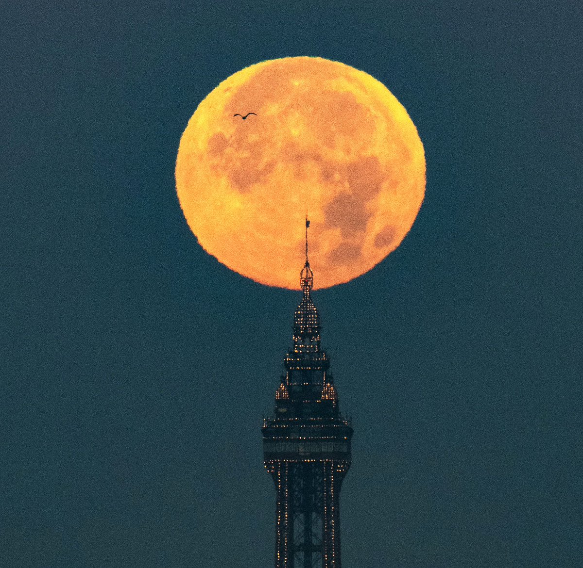 visitBlackpool's tweet photo. Incredible! The Super Harvest Moon behind The Blackpool Tower this morning 🌕

📷 Dave Nelson Photography https://t.co/NUGmtryr8I