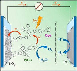 LEaF Lab (@lableaf) on Twitter photo We report on the use of quinoxaline dyes toghether with a Ru-based water oxidation catalyst for the functionalization of PEC electrodes: sciencedirect.com/science/articl…. Congrats to <a href="/XheilaYzeiri/">Xheila Yzeiri</a>
, <a href="/NicolaSangio83/">Nicola Sangiorgi</a> and all the team! <a href="/R2esL/">Research on Renewable Energy and Sustainability</a> <a href="/Cnr_Isof/">CNR_ISOF</a> <a href="/CNRICCOM_Social/">CNR-ICCOM</a> <a href="/CNRsocial_/">CNR Consiglio Nazionale delle Ricerche</a> We report on the use of quinoxaline dyes toghether with a Ru-based water oxidation catalyst for the functionalization of PEC electrodes: sciencedirect.com/science/articl…. Congrats to <a href="/XheilaYzeiri/">Xheila Yzeiri</a>
, <a href="/NicolaSangio83/">Nicola Sangiorgi</a> and all the team! <a href="/R2esL/">Research on Renewable Energy and Sustainability</a> <a href="/Cnr_Isof/">CNR_ISOF</a> <a href="/CNRICCOM_Social/">CNR-ICCOM</a> <a href="/CNRsocial_/">CNR Consiglio Nazionale delle Ricerche</a>