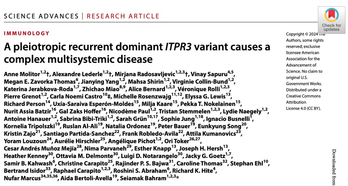 Jacky GOETZ (@goetzjacky) on Twitter photo Check out our latest tiny foray in the world of gene mutations (ITPR3) related to #immunodeficiencies.
<a href="/KatkaJerabkova/">Katerina Jerabkova-Roda</a> (post-doc) & @ignaciobusnelli (ex-EM expert) helped the team of S.Bahram showing how such mutation perturbs IP3R3 localization in patient fibroblasts. Check out our latest tiny foray in the world of gene mutations (ITPR3) related to #immunodeficiencies.
<a href="/KatkaJerabkova/">Katerina Jerabkova-Roda</a> (post-doc) & @ignaciobusnelli (ex-EM expert) helped the team of S.Bahram showing how such mutation perturbs IP3R3 localization in patient fibroblasts.