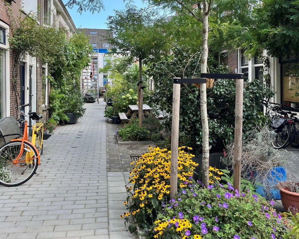 VPdelta (@vpdeltanl) on Twitter photo Hoe zorgen we dat we genoeg leefbare ruimte overhouden voor mens én natuur? Hoe partner <a href="/GemeenteDelft/">Gemeente Delft</a> werkt aan deze gecombineerde opgave, legt beleidsadviseur Lisette Louwman uit: bit.ly/4e7cdwO #klimaatadaptatie #Prinsjesdag Hoe zorgen we dat we genoeg leefbare ruimte overhouden voor mens én natuur? Hoe partner <a href="/GemeenteDelft/">Gemeente Delft</a> werkt aan deze gecombineerde opgave, legt beleidsadviseur Lisette Louwman uit: bit.ly/4e7cdwO #klimaatadaptatie #Prinsjesdag
