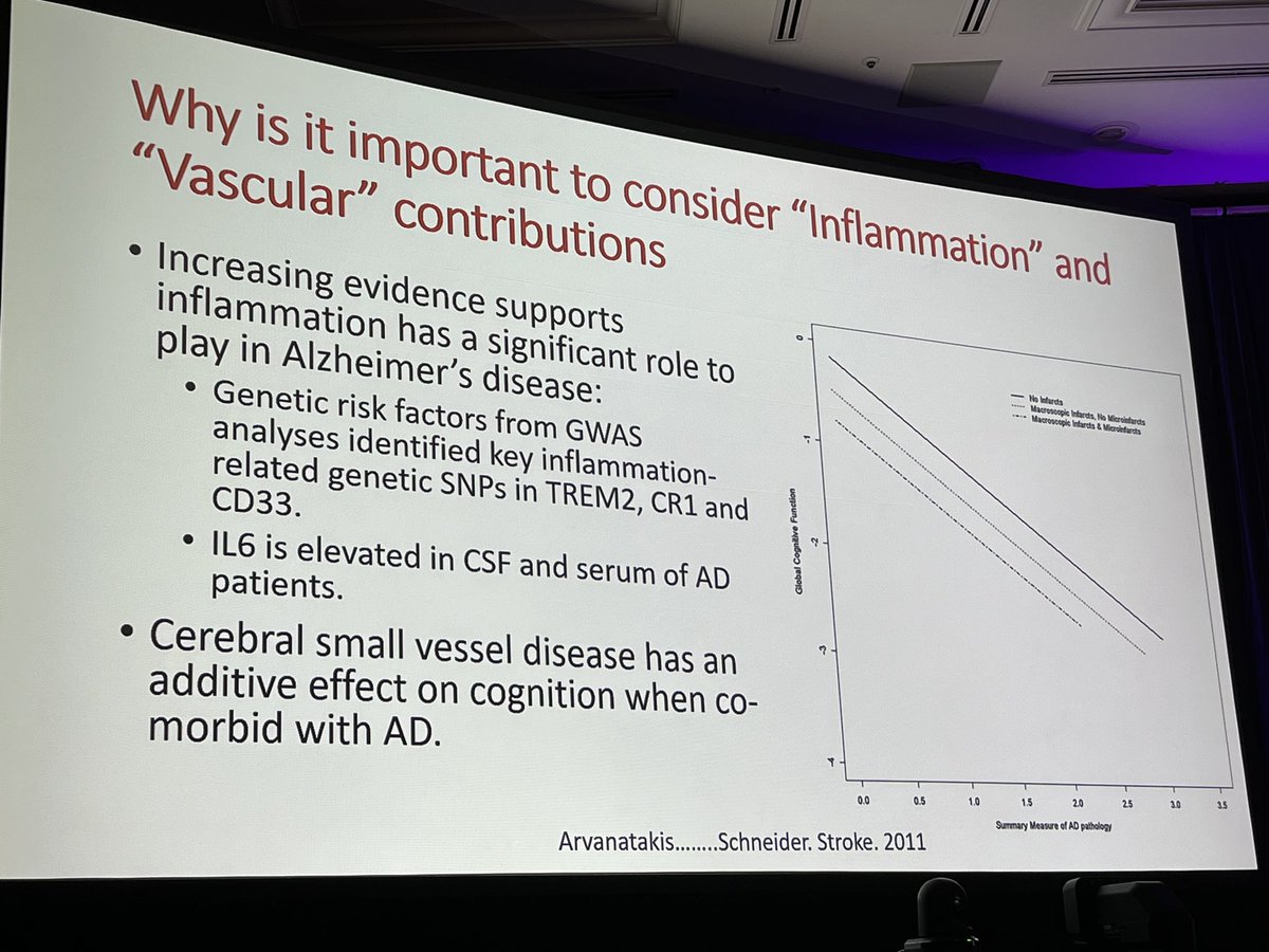 PhylFerrell's tweet photo. Thank you @Wilcock_v2!!! I finally understand the importance (and challenges) of #biomarkers for #VCID and #neuroinflammation. But so glad you are “on the case!” @alzassociation #AAICJapan #accuratediagnosis https://t.co/b2D9n47ozt