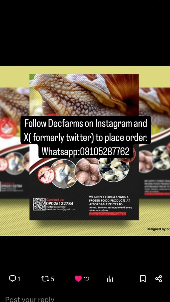 decfarms's tweet photo. @thecableng @inecnigeria @ChidiOdinkalu kindly place order for your fresh snails. we deliver nationwide. free shipping for goods worth more than 200k. https://t.co/vS2fy8nqpv