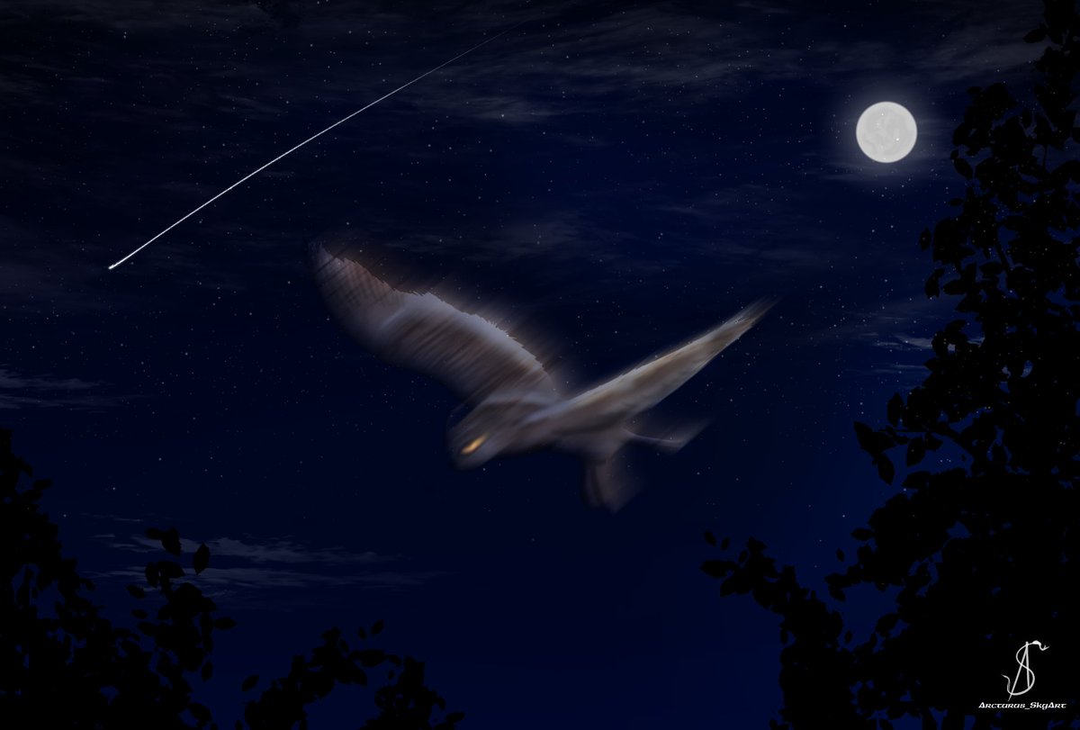 Arcturus_Skyart's tweet image. During last #stream I asked #viewer what they wanted me to draw. And they asked "#owl in the #night"
I decided to make it a #challenge: starting and finishing during the stream!
So here are 2 versions but please don't zoom in 🤣
Shall I do that type of challenge again?