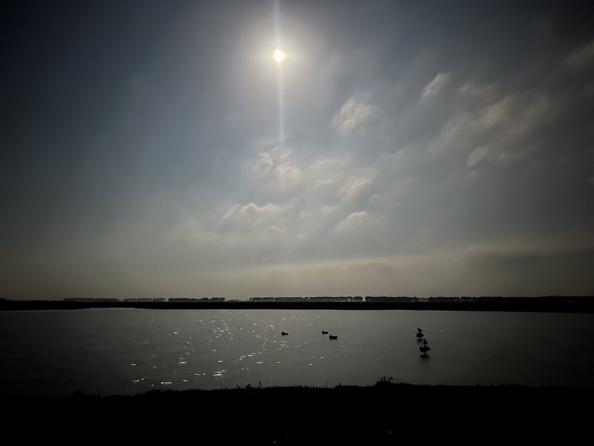 Team_Crecca's tweet photo. C’est toujours beau avec la lune…

#LobbyCoinCoin
#Nature 
#photoghraphy https://t.co/xOUi4ZlS1h