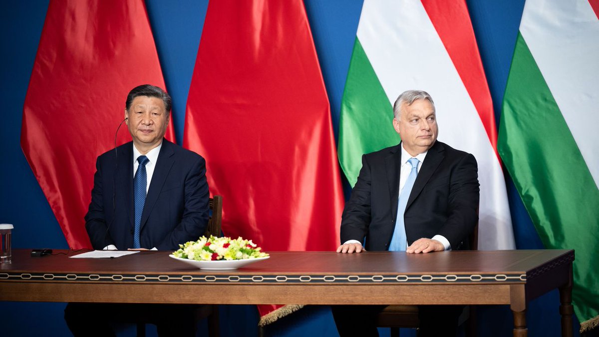 Edit Zgut-Przybylska tweet media