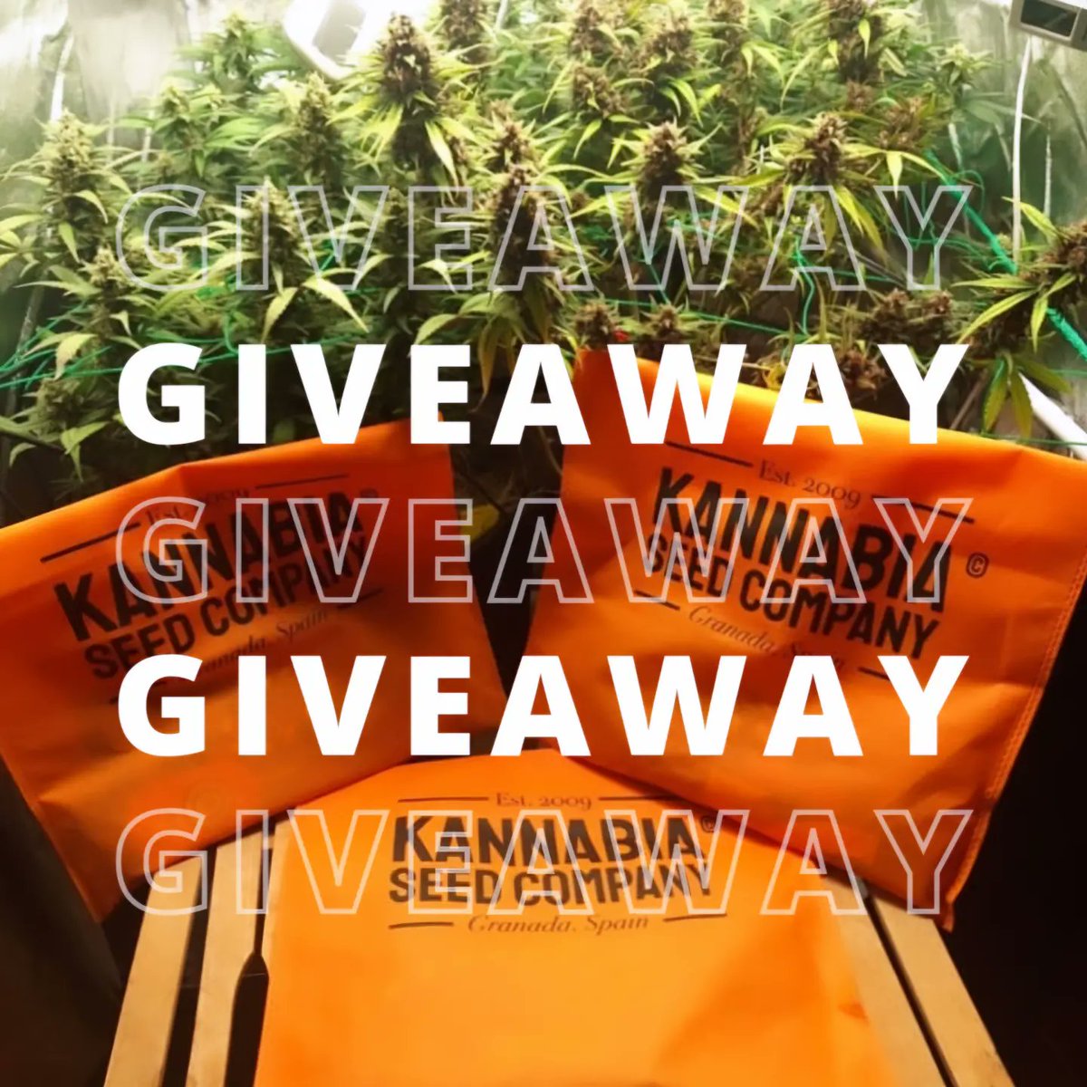 Grow.Guide420 tweet media