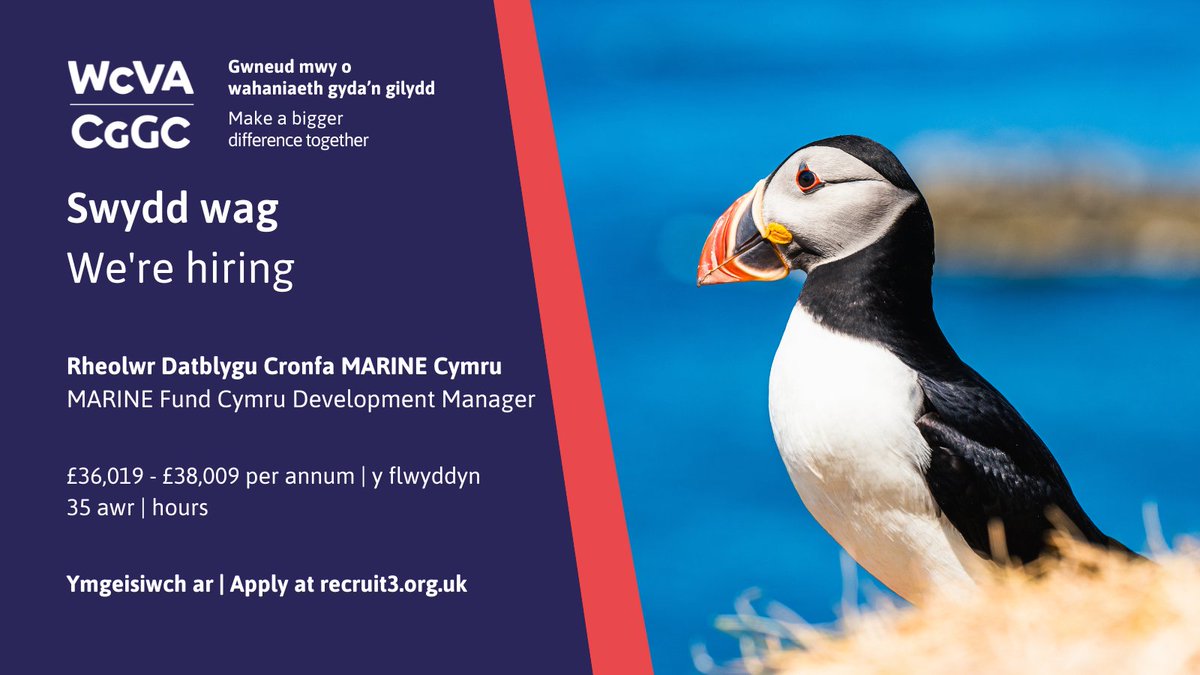 Vacancy - MARINE Fund Cymru Development Manager 🌊
We’re looking for someone to co-ordinate the development of an exciting new fund for projects that benefit marine ecosystems in Wales.

wcva.cymru/vacancy-marine…