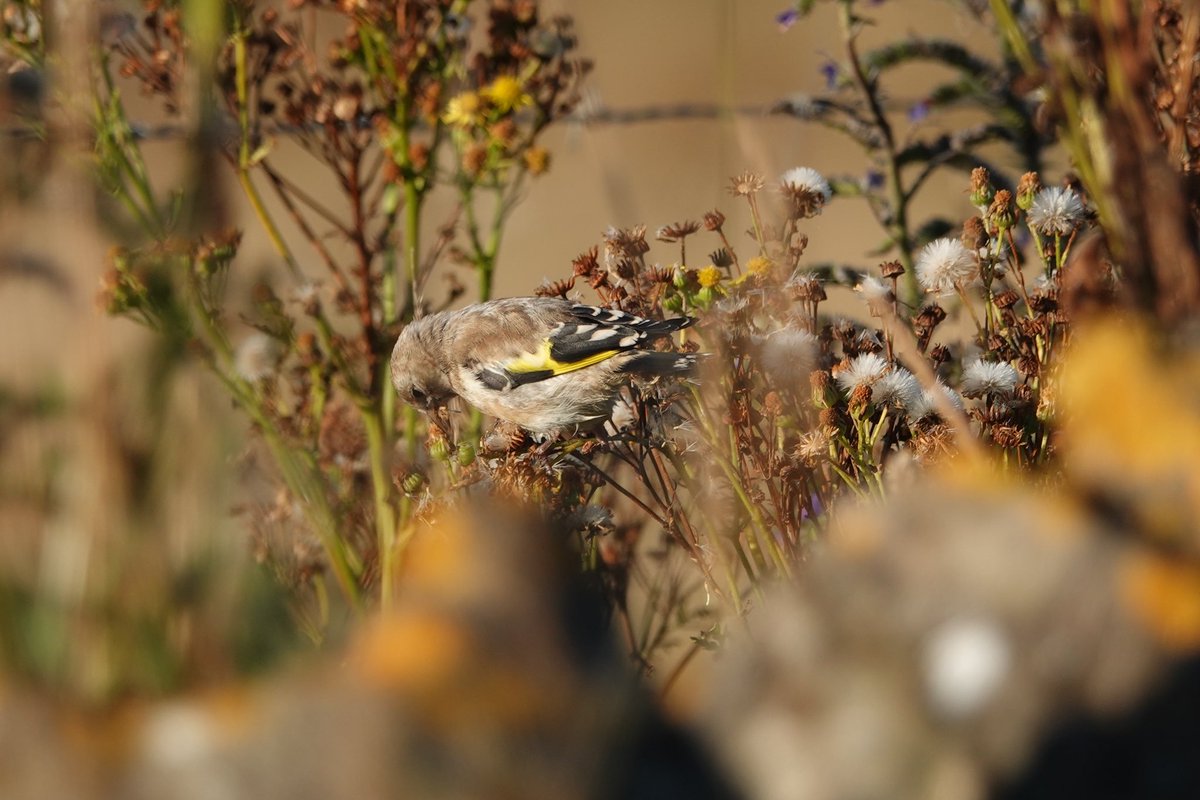 Bex Outram (@bexoutram) on Twitter photo 