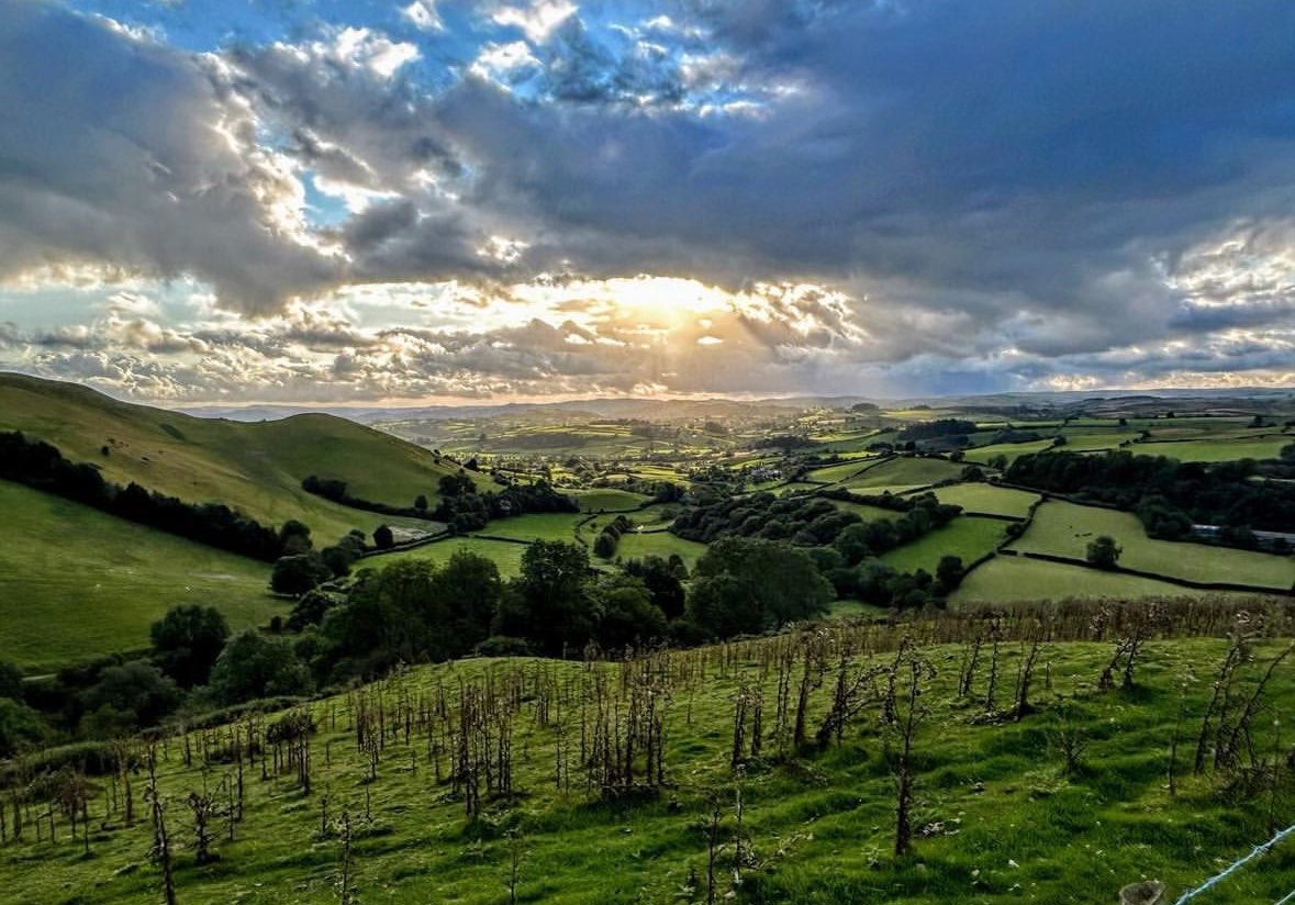 rebeccaedsbt's tweet photo. Beautiful early morning Drive to the All Wales Challenging Behaviour Community of Practice in Llandrindod Wells #cbCOP 🏴󠁧󠁢󠁷󠁬󠁳󠁿❤️ https://t.co/hqLR1Zm3zd