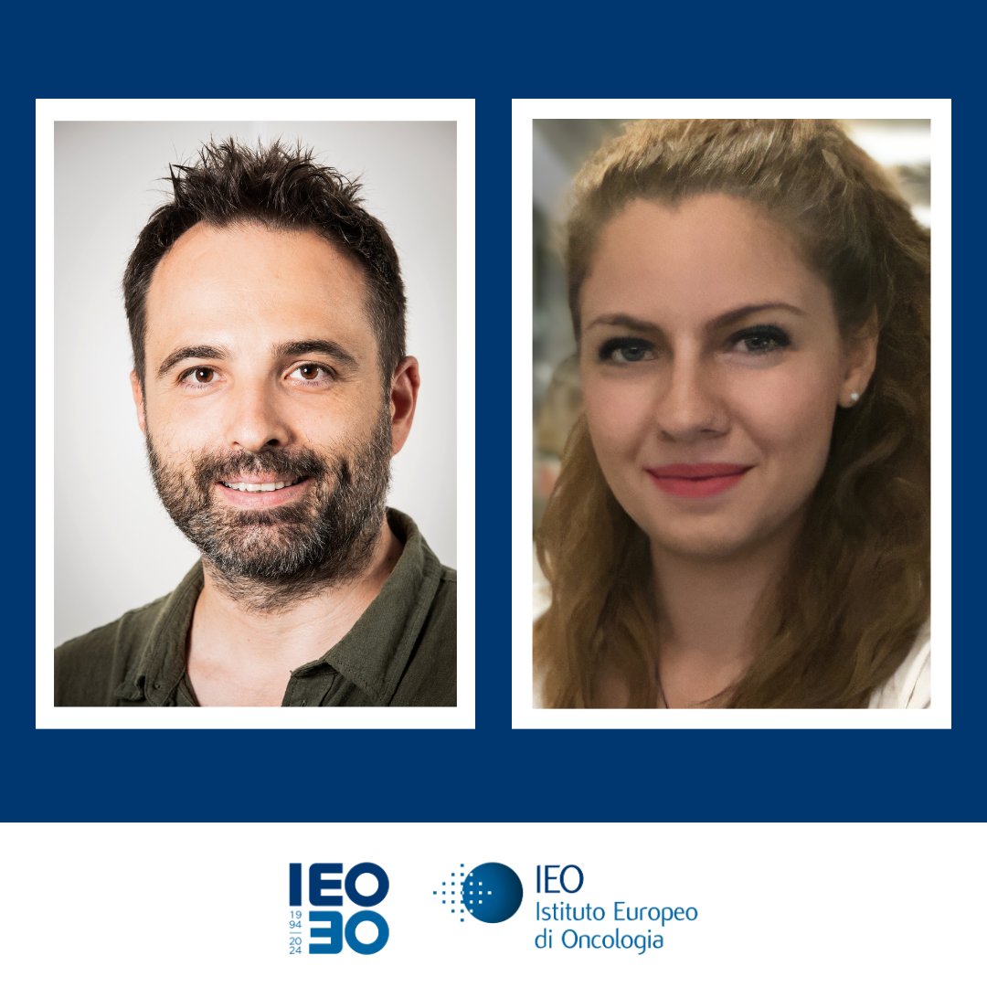 IEO (@ieoufficiale) on Twitter photo Pubblicati su <a href="/NatureComms/">Nature Communications</a> e <a href="/CD_AACR/">Cancer Discovery</a> i risultati di due importanti studi condotti dai ricercatori dello IEO e di <a href="/LaStatale/">Università degli Studi di Milano</a>, con il sostegno della Fondazione AIRC per la ricerca sul cancro, che aprono nuove prospettive nel trattamento dei tumori.
Info👉shorturl.at/IZyrm Pubblicati su <a href="/NatureComms/">Nature Communications</a> e <a href="/CD_AACR/">Cancer Discovery</a> i risultati di due importanti studi condotti dai ricercatori dello IEO e di <a href="/LaStatale/">Università degli Studi di Milano</a>, con il sostegno della Fondazione AIRC per la ricerca sul cancro, che aprono nuove prospettive nel trattamento dei tumori.
Info👉shorturl.at/IZyrm