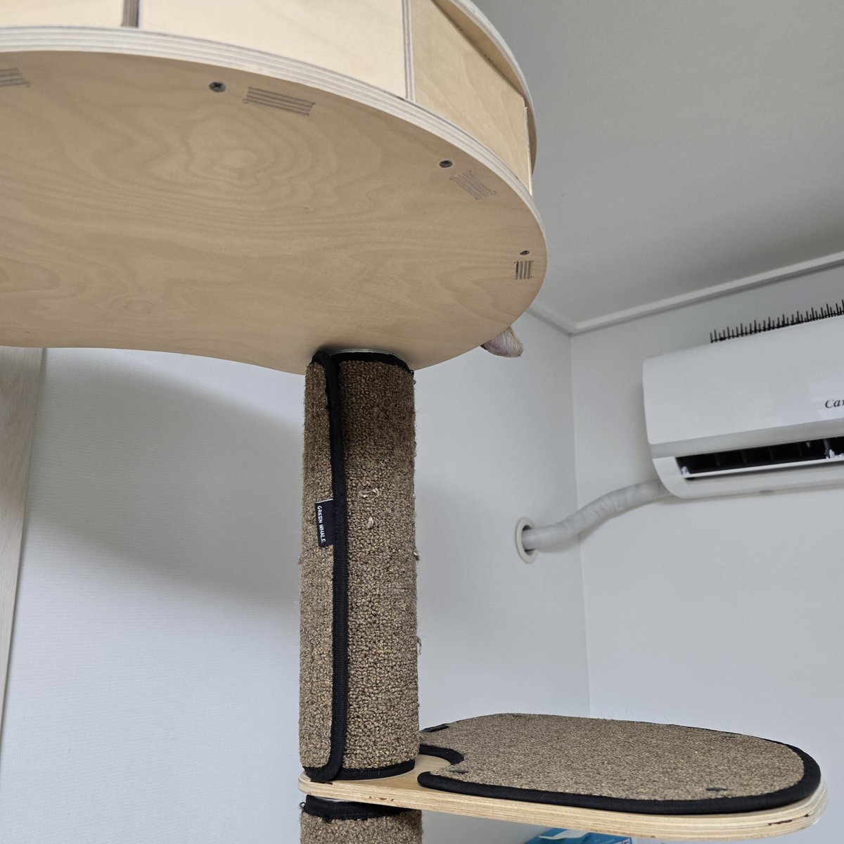 우롱이를 찾아보세요 👀