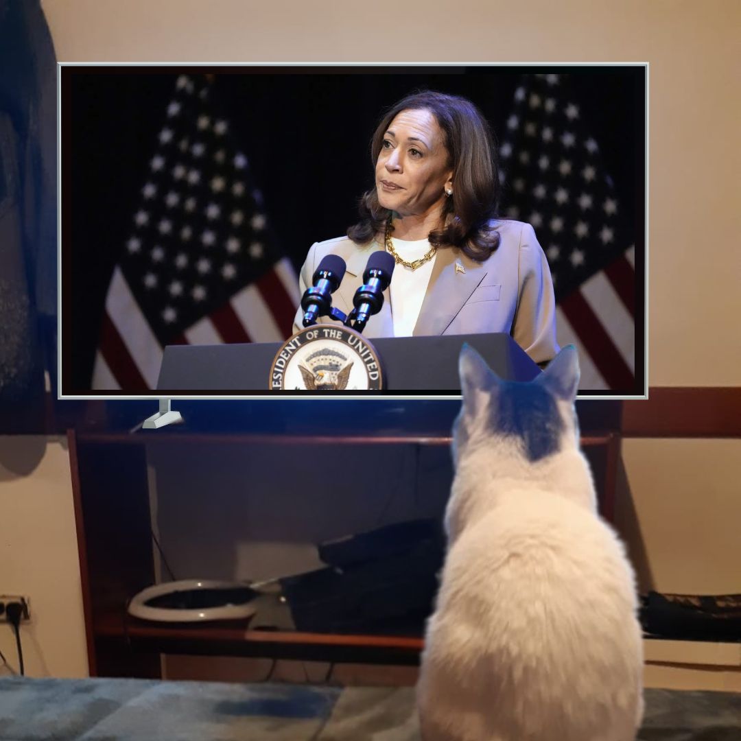 Me taking a look into the democratic platform for the elections and don't read a single word about crypto