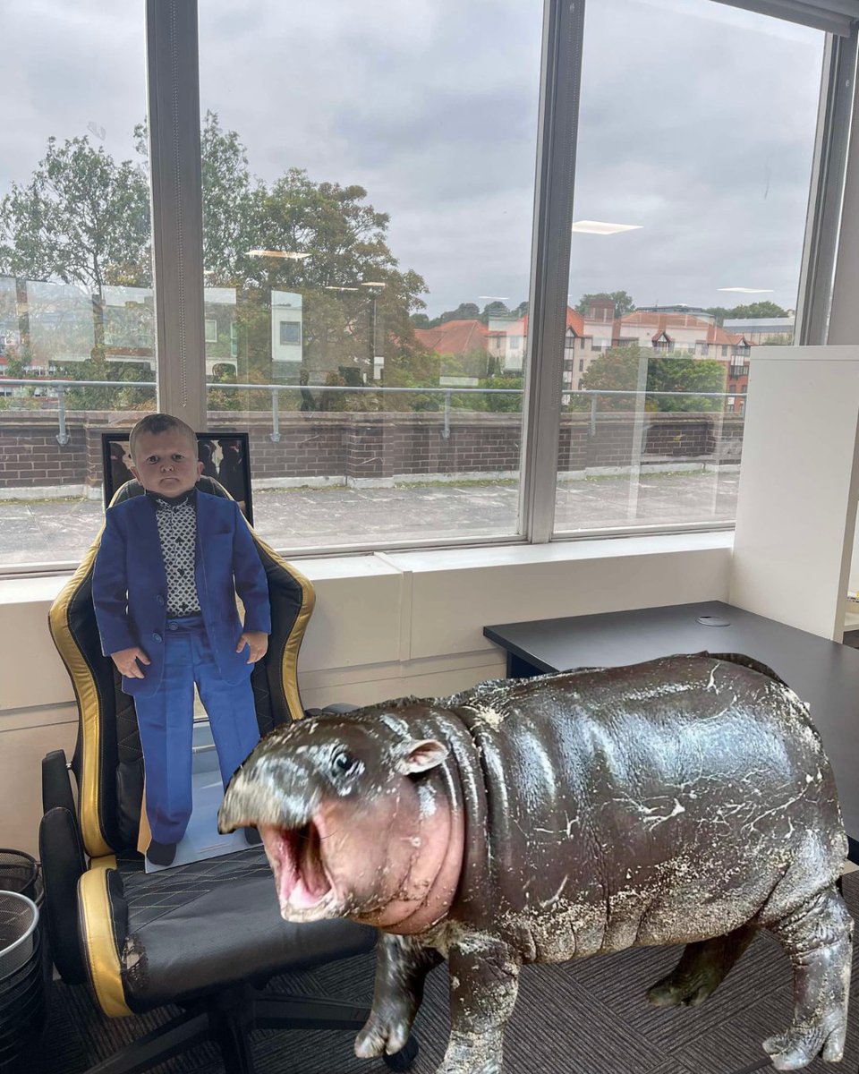 Moo Deng has been spotted at the Atlas SEO offices