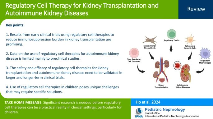 Ho Quan Yao (@quanyao) on Twitter photo Very pleased to share our review presenting the latest literature on regulatory cell therapy for #kidney #transplantation, #glomerulonephritis & #autoimmune kidney diseases doi.org/10.1007/s00467… <a href="/trig_oxford/">Translational Research Immunology Group</a> <a href="/mysgh/">Singapore General Hospital (SGH)</a> <a href="/dukenus/">Duke-NUS Medical School</a> Very pleased to share our review presenting the latest literature on regulatory cell therapy for #kidney #transplantation, #glomerulonephritis & #autoimmune kidney diseases doi.org/10.1007/s00467… <a href="/trig_oxford/">Translational Research Immunology Group</a> <a href="/mysgh/">Singapore General Hospital (SGH)</a> <a href="/dukenus/">Duke-NUS Medical School</a>