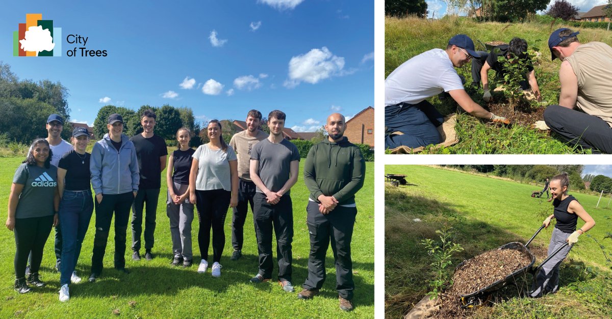 SimpsonHaugh (@simpsonhaugh) on Twitter photo Ten of our team members joined the <a href="/CityofTreesMcr/">City of Trees</a> team in Irlam, #Salford, to help maintain saplings that were planted around 4 years ago, carrying our activities such as cutting back grass, clearing vegetation, re-matting and wood chipping the trees. #cityoftrees #volunteering Ten of our team members joined the <a href="/CityofTreesMcr/">City of Trees</a> team in Irlam, #Salford, to help maintain saplings that were planted around 4 years ago, carrying our activities such as cutting back grass, clearing vegetation, re-matting and wood chipping the trees. #cityoftrees #volunteering