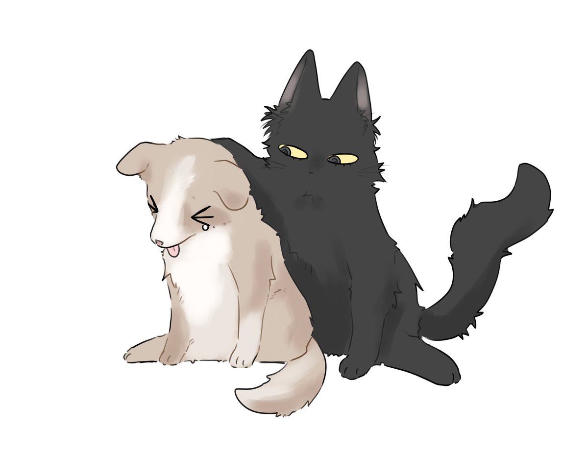 종상

야. 원래 고양이가 개를 이기나?
...글게요?