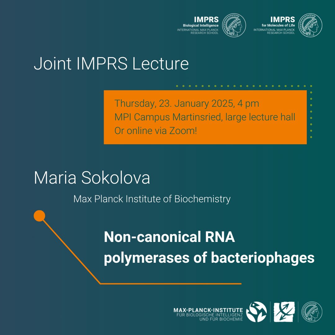 IMPRS-ML (@imprs_ml) on Twitter photo Upcoming Joint IMPRS Lecture with Maria Sokolova <a href="/arimiora28/">Maria SOKOLOVA</a> from the <a href="/MPI_Biochem/">Max Planck Institute of Biochemistry (MPIB)</a> this Thursday, 23 January at 4 pm CET🗓️! The talk is free for everyone, on campus or via Zoom.
↪️More info: imprs-ml.mpg.de/38279/Joint-IM…
<a href="/MPI_Biochem/">Max Planck Institute of Biochemistry (MPIB)</a> <a href="/MPIforBI/">MPI for Biological Intelligence</a> <a href="/LMU_Muenchen/">Universität München</a> <a href="/TU_Muenchen/">TU München</a> Upcoming Joint IMPRS Lecture with Maria Sokolova <a href="/arimiora28/">Maria SOKOLOVA</a> from the <a href="/MPI_Biochem/">Max Planck Institute of Biochemistry (MPIB)</a> this Thursday, 23 January at 4 pm CET🗓️! The talk is free for everyone, on campus or via Zoom.
↪️More info: imprs-ml.mpg.de/38279/Joint-IM…
<a href="/MPI_Biochem/">Max Planck Institute of Biochemistry (MPIB)</a> <a href="/MPIforBI/">MPI for Biological Intelligence</a> <a href="/LMU_Muenchen/">Universität München</a> <a href="/TU_Muenchen/">TU München</a>