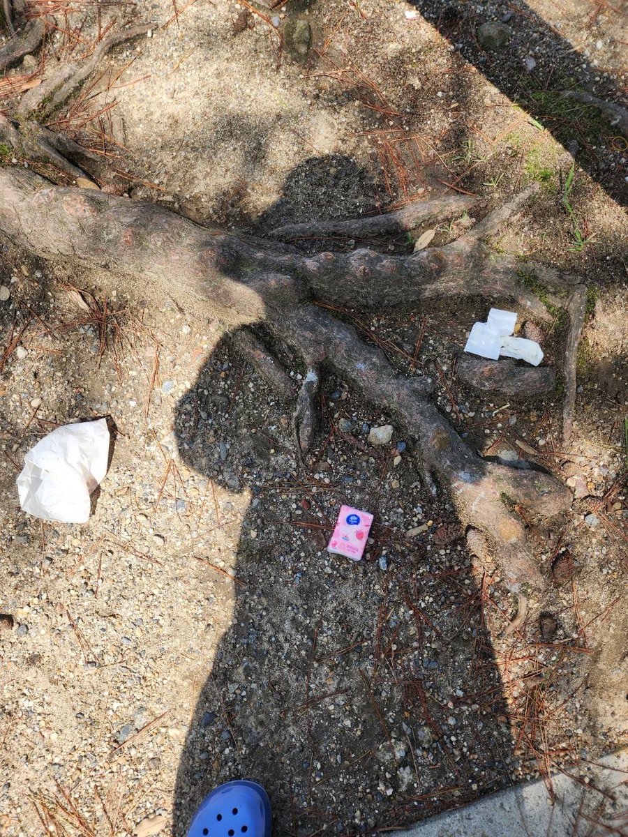 【お願い】
奈良公園でよく中国のティッシュがあちらこちらに捨てられています。
鹿さんがゴミを食べると消化不良でお腹に溜まり死んでしまいます。
ティッシュを食べる人っていないですよね？動物の気持ちになって考えたらこんな悲しいことできないよな。
公園でゴミを見掛けた人は回収して下さい。