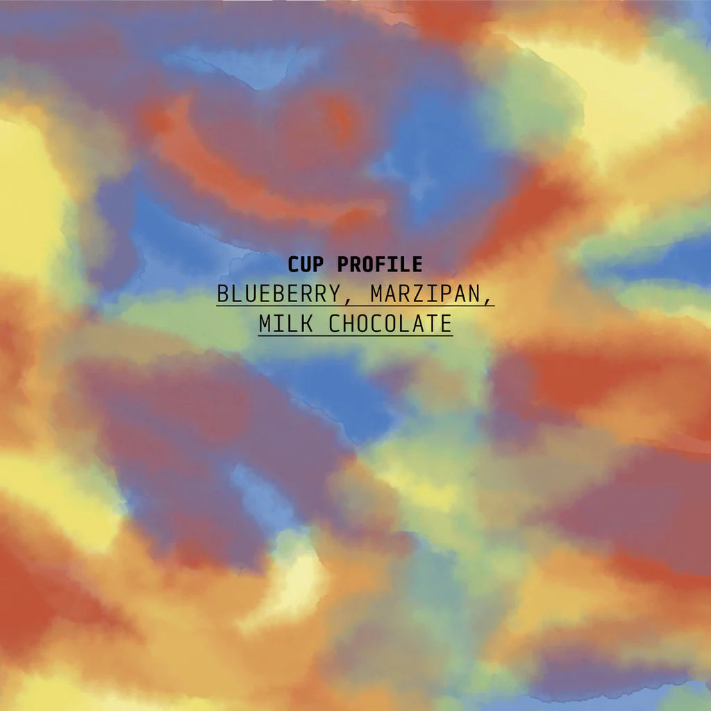 capecoffeebeans's tweet image. We've got new coffee from Cedar! This one's an anaerobic natural from Fazenda Santa Cruz, Brazil!

capecoffeebeans.co.za/products/cedar… 

#specialtycoffee #coffee #coffeeroasting #thirdwavecoffee #braziliancoffee