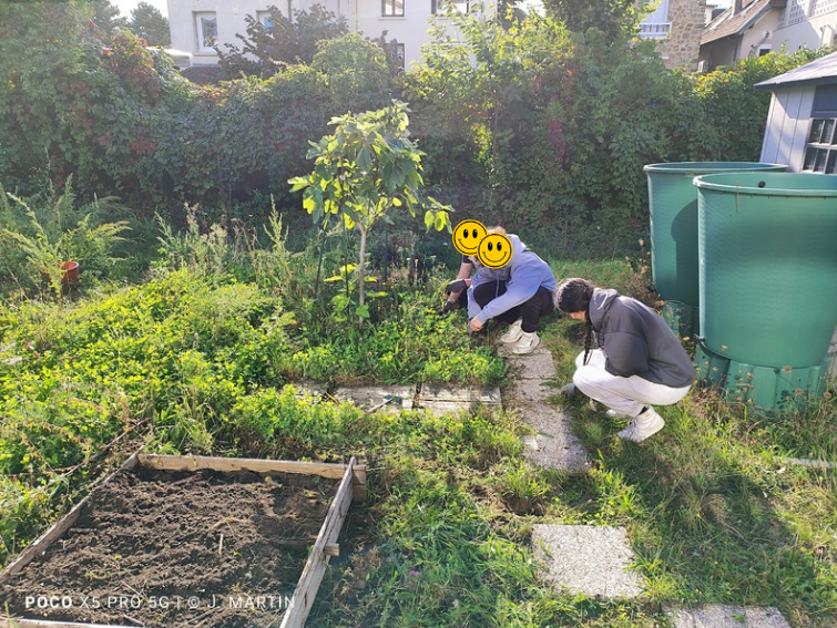 JMartin49350's tweet photo. Après un été de repos, les éco-délégué.e.s du lycée ont enfin retrouvé  le chemin de l’espace biodiversité. Ils ont retroussé leurs manches pour remettre en état l'espace. Ils ont également profité d'une belle récolte ... 
#EDD #Biodiversité #Ecodélégués @edd_versailles https://t.co/aHhfCplPQB