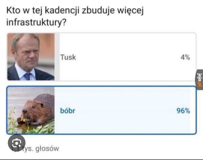 GXvsc6DXsAAMvM7