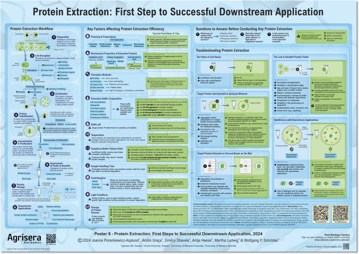 Excited to share our latest #SciArt project: Agrisera Educational Poster 8 on Protein Extraction, designed by <a href="/SciGrafik/">Dmitry Shevela 🇺🇦</a> 🇸🇪. Huge thanks to the co-authors and to <a href="/agrisera/">Agrisera</a> 🇸🇪 for sponsoring and distributing this worldwide🌐!  📰 Get it free here: agrisera.com/en/educational…