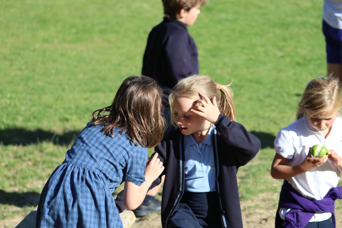 saintronans's tweet image. Break time at Saint Ronan's

#saintronans #mindthemagic #workhardplayhard #breaktime #prepschoollife #balance #friendship