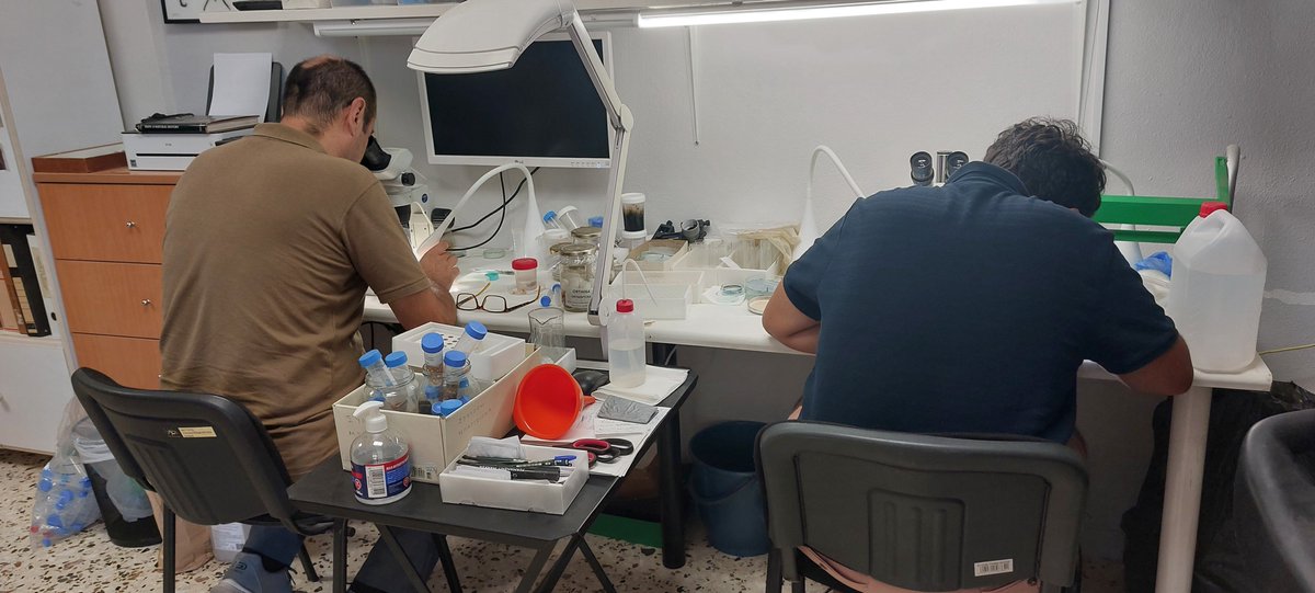 SpongeScapes tweet media