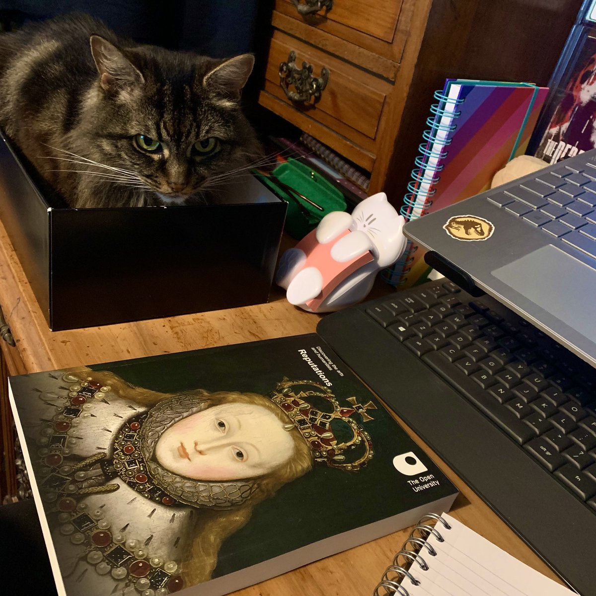 rachelrchapman's tweet photo. Meet Calcifer, my study buddy for the next few years. To be honest I think all he wanted was the box, not the commitment. ๐
#NewOUStudent #StudyBuddy https://t.co/nynrxjJsNY