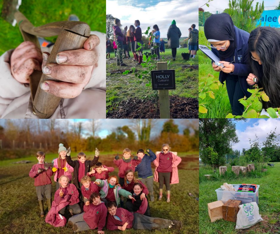 LEAF Ireland tweet media