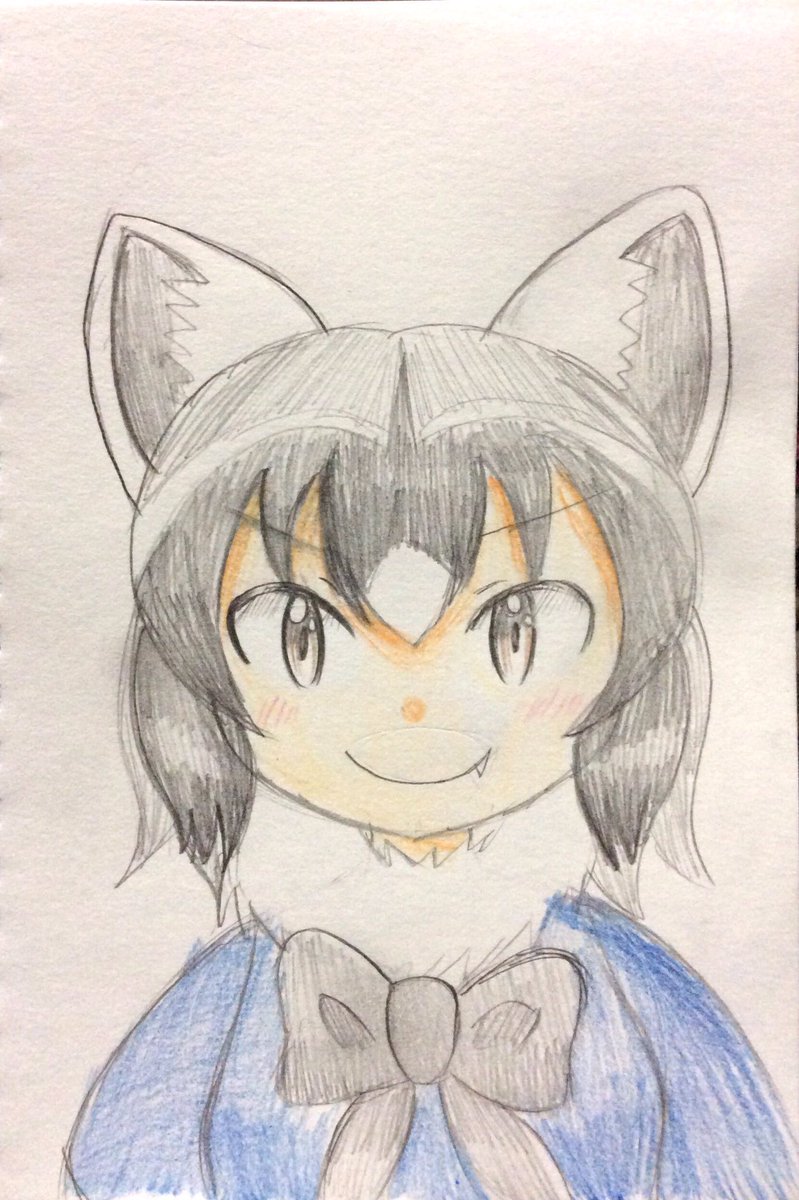 けものフレンズ「色んな  #アライさん 描いていたのだ!でも描いた記憶があやふやなのだ:( ;'」|青葉クワックス🍥逃走中×謎解きのイラスト