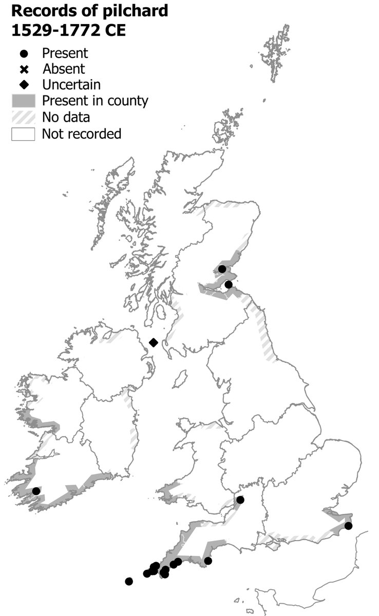 Here's where you could get good 'sardines-on-toast' 250-500 years ago...🐟
Pilchards were most common in Cornwall (perhaps the Duchy's biggest industry). And in Munster, there was a connection between the pilchard fishery and international piracy! #AtlasofEarlyModernWildlife