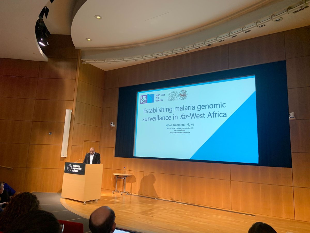 MalariaGEN (@malariagenomics) on Twitter photo Alfred Amabua Ngwa <a href="/AA_Ngwa/">Alfred Amambua Ngwa</a>'s engaging presentation brings together the fantastic work happening across West Africa to lead the way in #malaria surveillance in the region.
Read more about this project: malariagen.net/project/genomi…
#GEM2024 Alfred Amabua Ngwa <a href="/AA_Ngwa/">Alfred Amambua Ngwa</a>'s engaging presentation brings together the fantastic work happening across West Africa to lead the way in #malaria surveillance in the region.
Read more about this project: malariagen.net/project/genomi…
#GEM2024