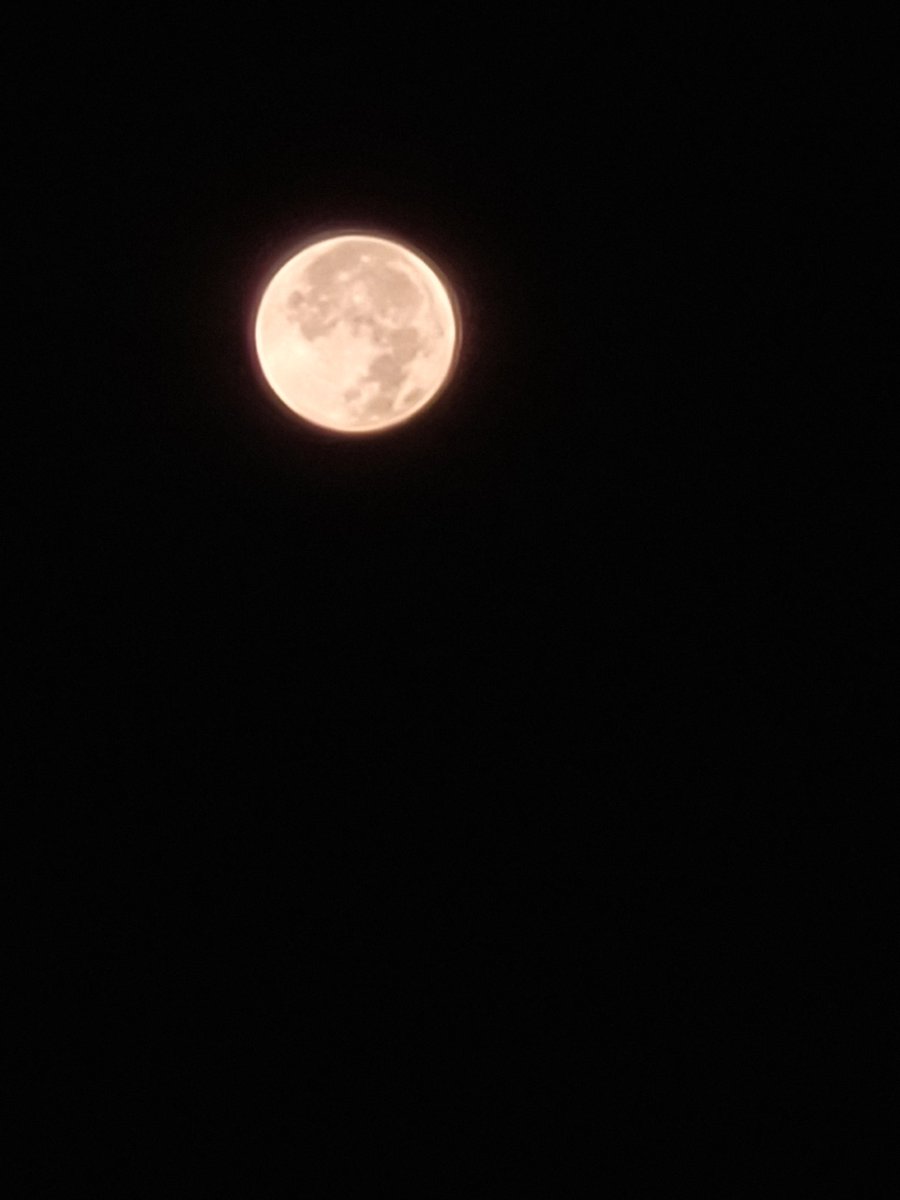 Weed_Faery's tweet photo. #SuperHarvestMoon 
#Moon 
#android https://t.co/LJ2X7uoJtk