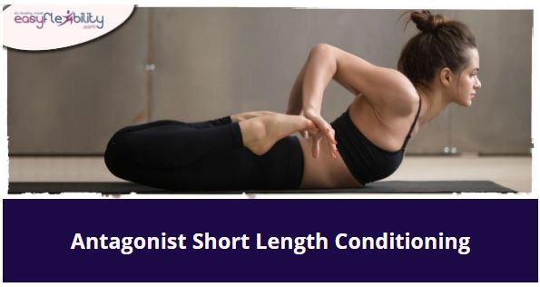 EasyFlexibility's tweet image. Antagonist Short Length Conditioning: easyflexibility.com/blogs/yoga-fle…
ASLC is a concept under the umbrella of strength exercises in EasyFlexibility system. Extended Length Conditioning and Peripheral Conditioning are found in the same group. All three types of techniques work the joint…