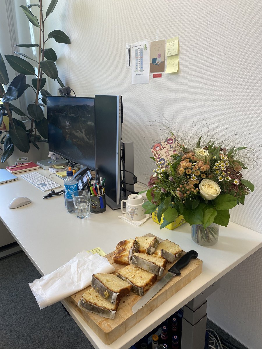 When your lab surprises you for your birthday is how you know you have the best people 😍.