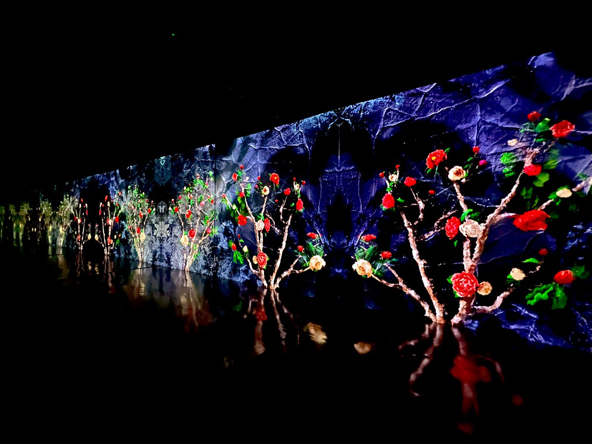 ゆすさん@Voicy日韓ラジオ tweet media