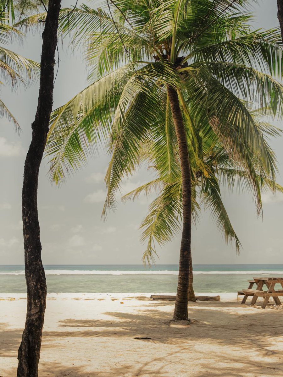 Just one more day till the weekend! 🌴⏰

It’s almost time to trade our desks for sand and swap spreadsheets for sunsets. Let’s make the last office hours count!